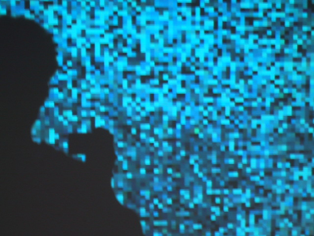 Mann vor Leinwand; Pixelbild: Datenübertragungsfehler!!!