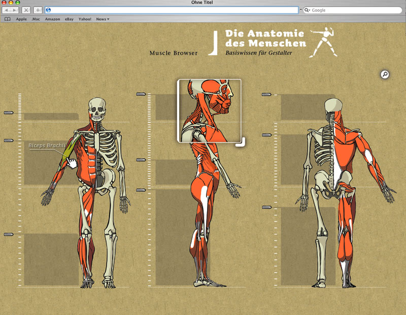 Im Kernbereich »Muscle Browser« kann der User den Muskelapparat des Menschen kennenlernen.